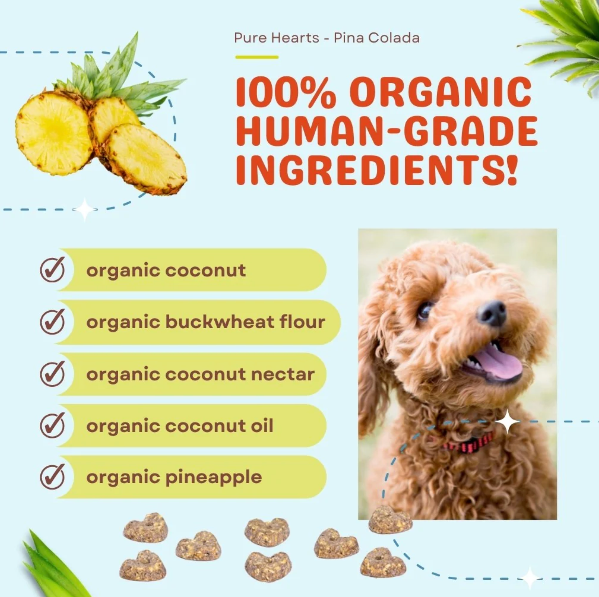 Pure Hearts Coconut Cookies - Pina Colada